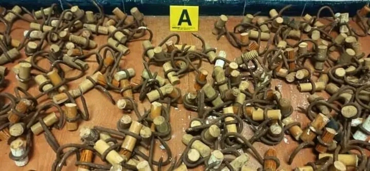 20221020 194108 - عقادي نيوز