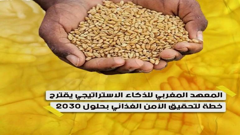 المعهد المغربي للذكاء الإستراتيجي يقترح خطة لتحقيق الأمن الغذائي بحلول 2030…نورالدين رزاق