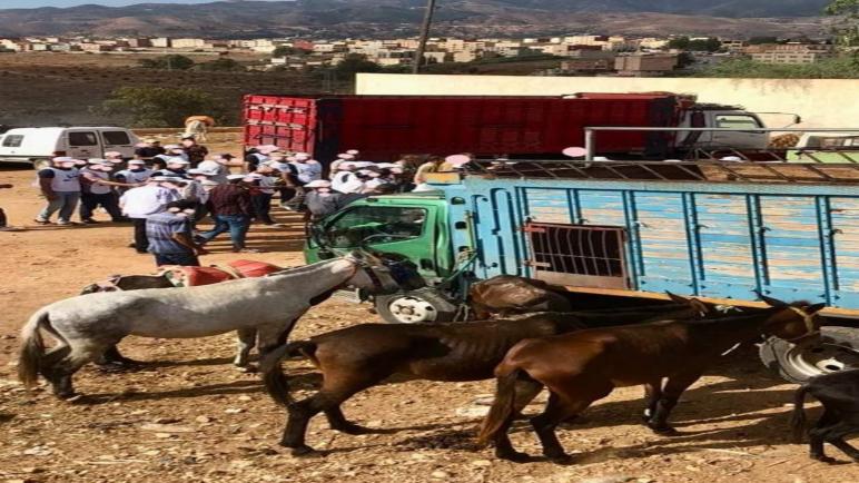 دعاية انتخابية في سوق الحيوانات بالدريوش…عقادي نيوز