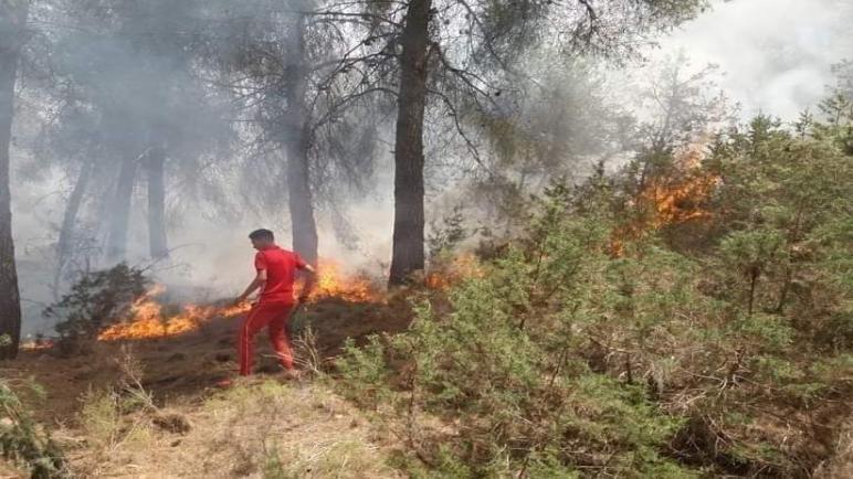 السيطرة على حريق غابة إيغري بدمنات في ظرف وجيز من طرف السكان والوقاية المدنية…نورالدين رزاق