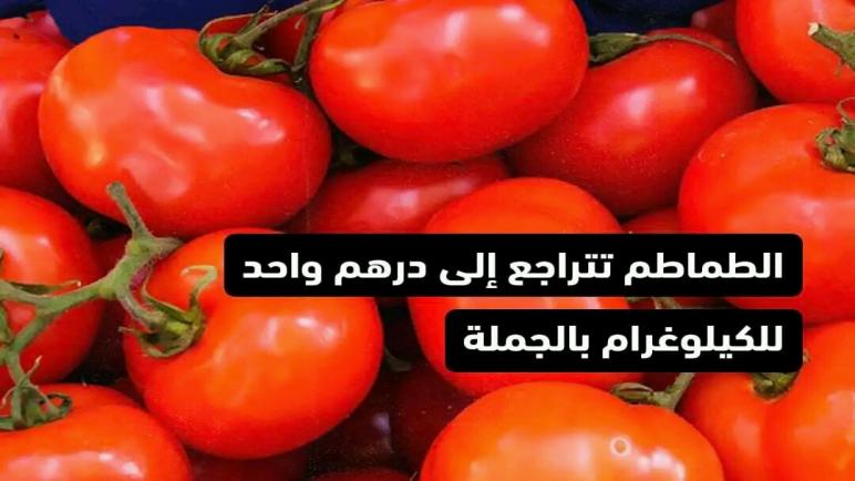 الطماطم تتراجع إلى درهم واحد للكيلو غرام بالجملة…نورالدين رزاق