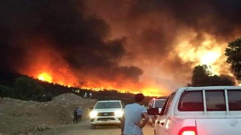 المدير العام للوكالة الوطنية للمياه والغابات يدعو الجميع إلى الحذر من الحرائق..عقادي نيوز